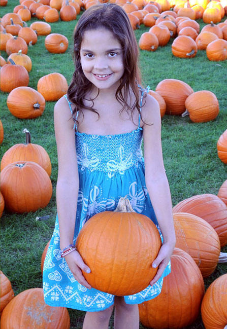 picking pumpkins